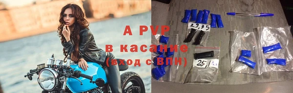 амф Бородино