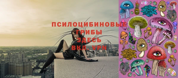 PSILOCYBIN Богородицк