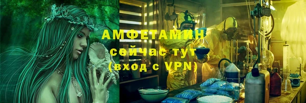 амф Бородино