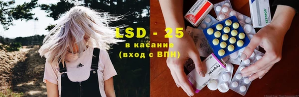 PSILOCYBIN Богородицк